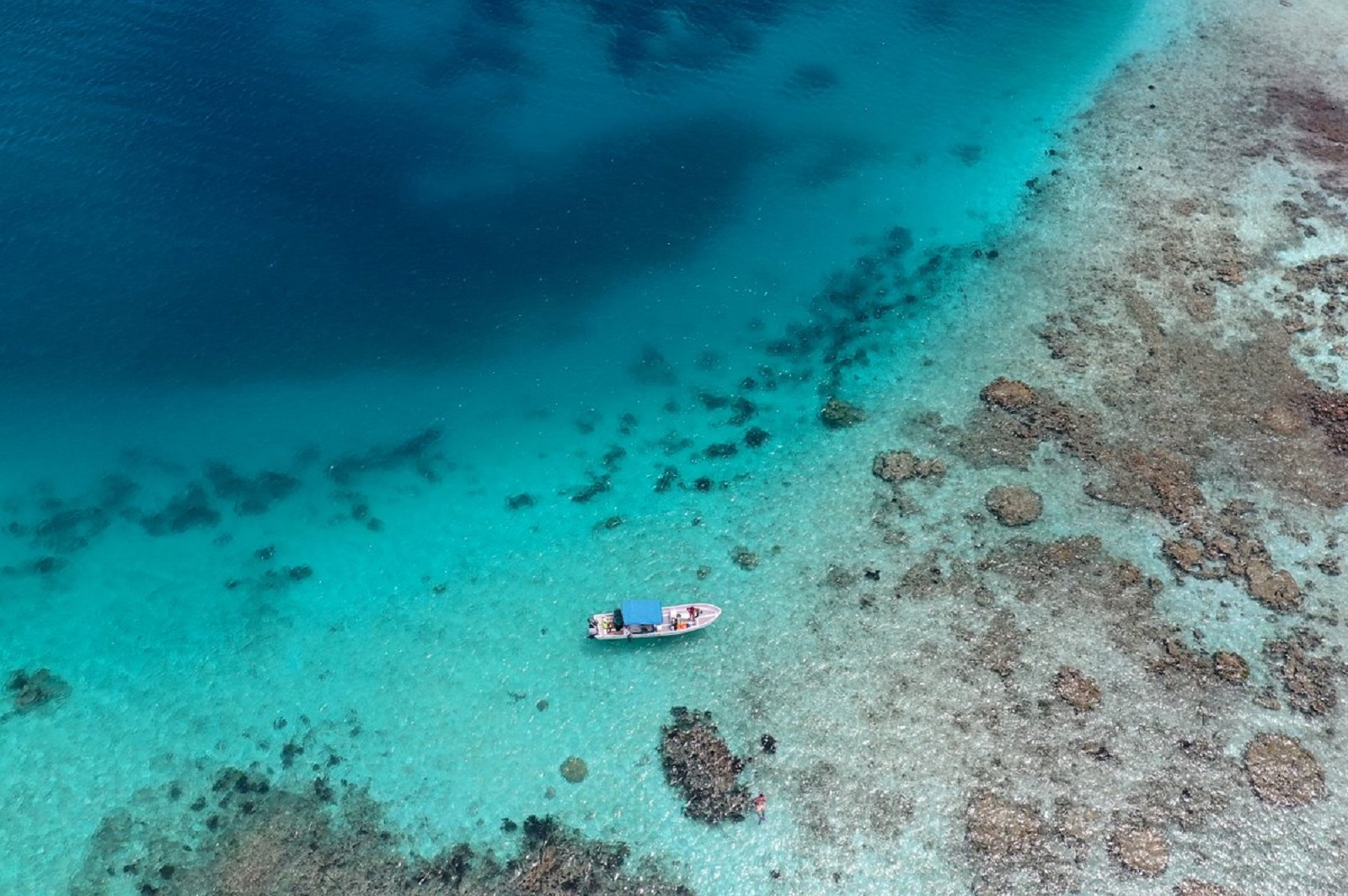 Los Roques