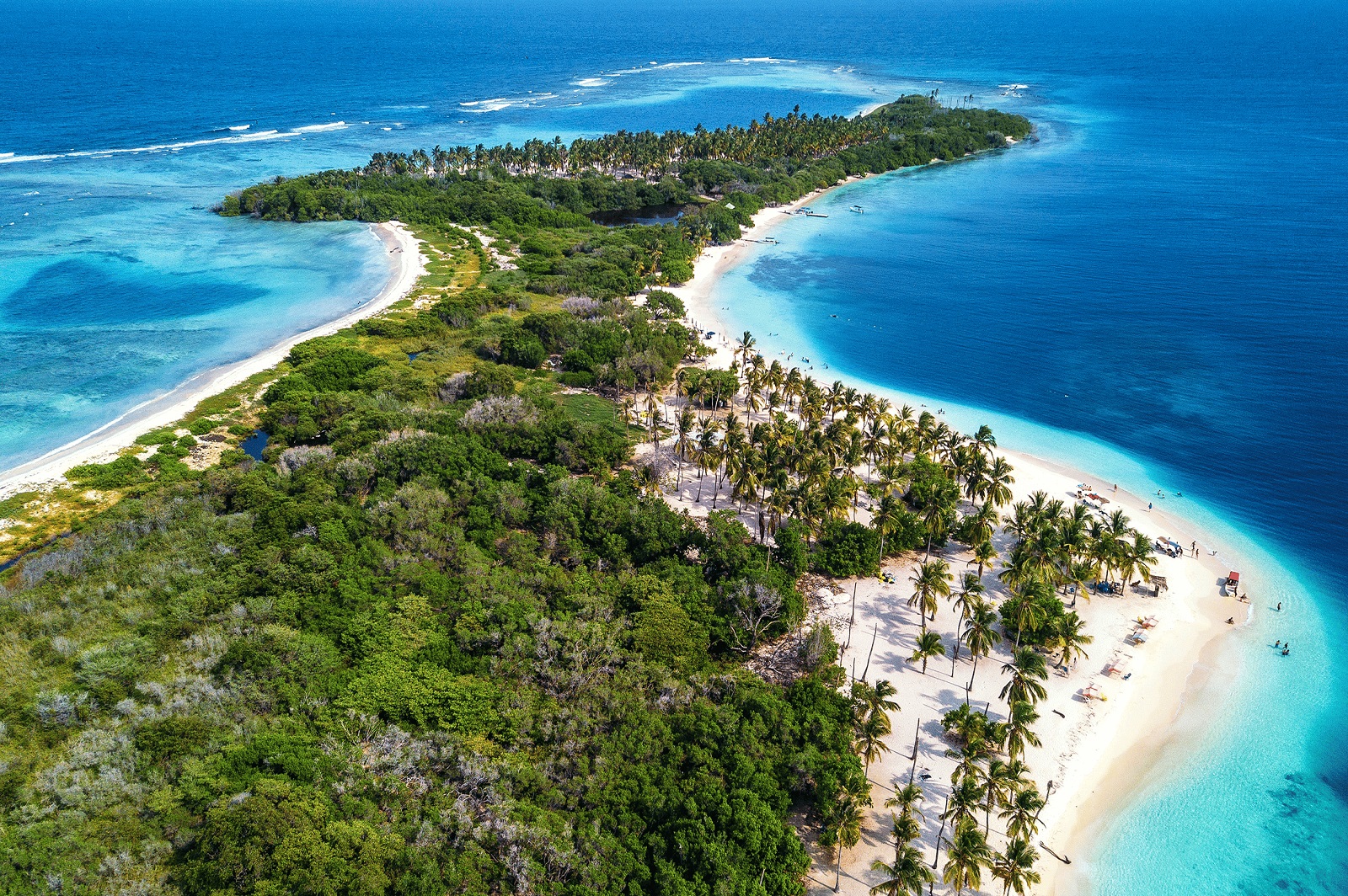 Morrocoy